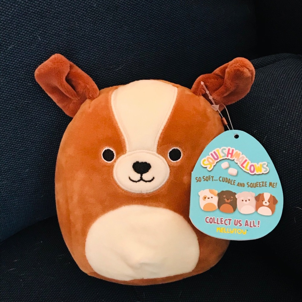 Bernie the squishmallow dog !!